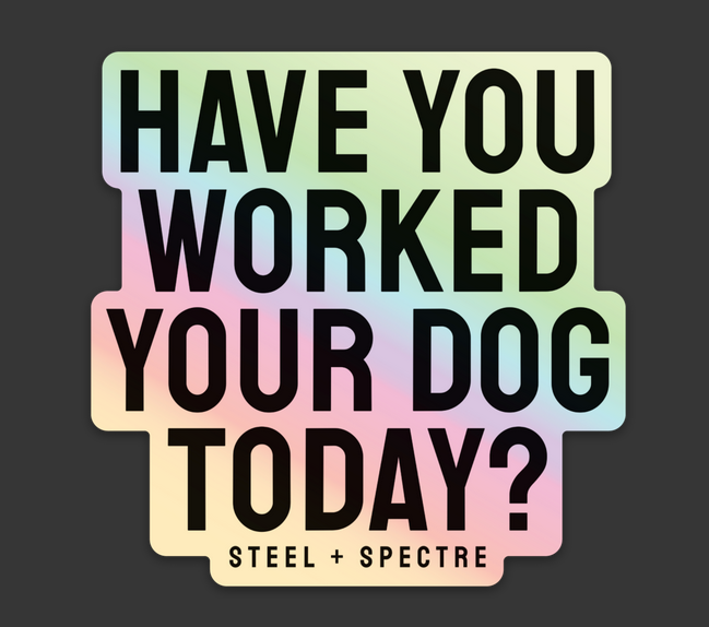 Have You Worked Your Dog Today? Holographic Sticker